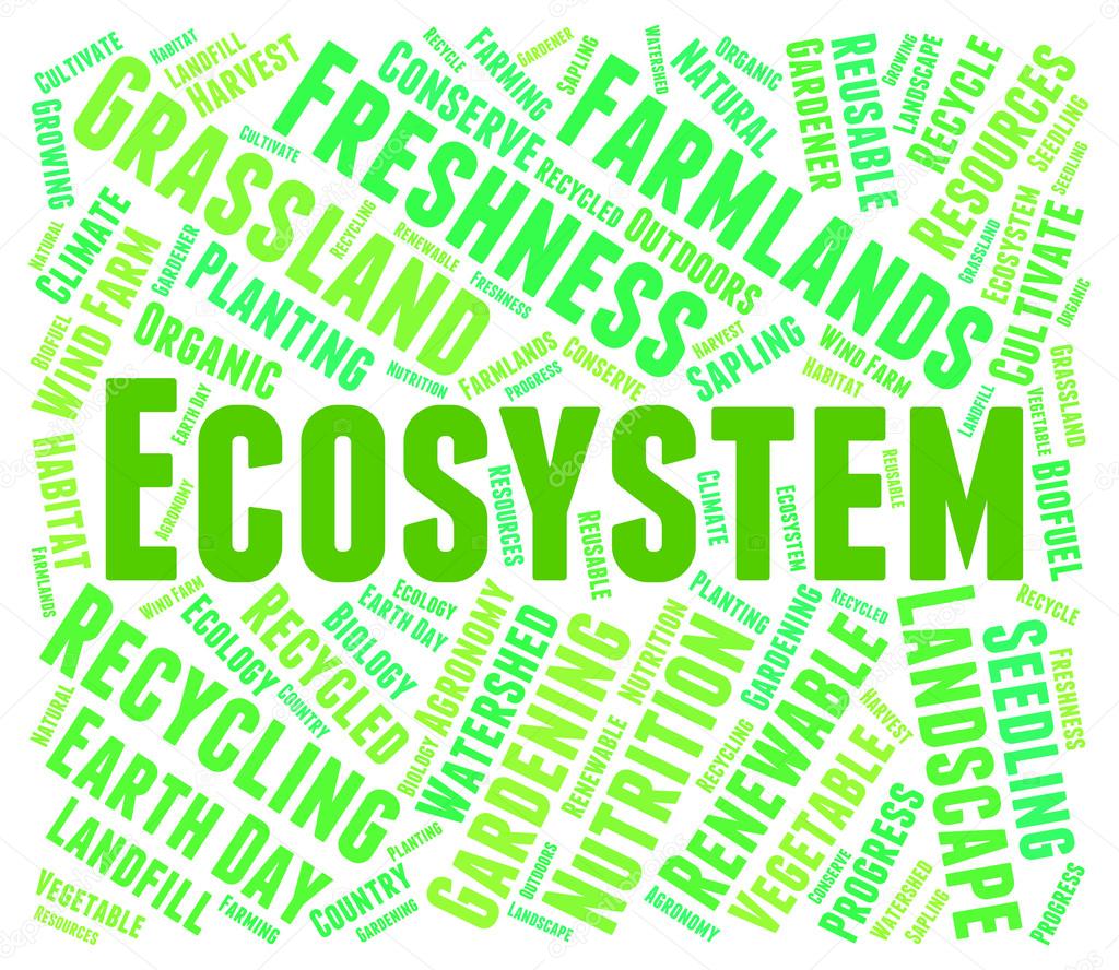 Ecosysteem.jpg